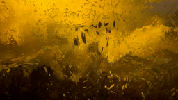 Memory of Turner No.2